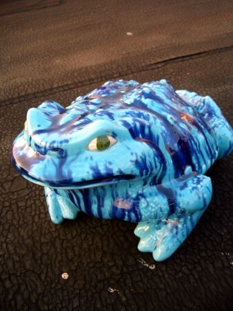 blue frog