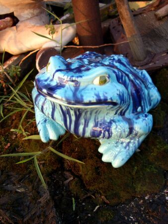 blue frog