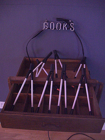 Jeffry Chiplis Butler Institute of American Art Neon Works in the 21st Century
