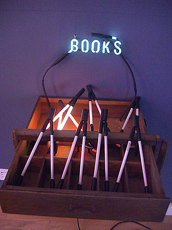 Jeffry Chiplis Butler Institute of American Art Neon Works in the 21st Century