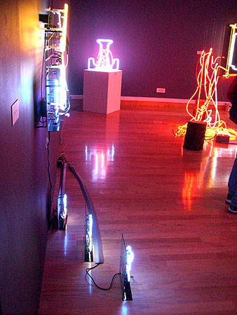 Jeffry Chiplis Butler Institute of American Art Neon Works in the 21st Century