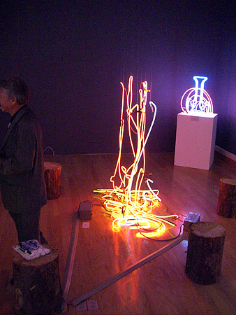 Jeffry Chiplis Butler Institute of American Art Neon Works in the 21st Century