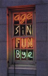 age, sin, fun, bye neon sculpture