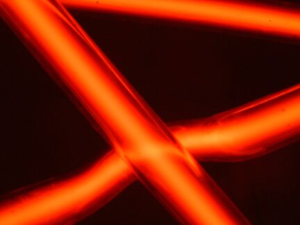 x marx the spot