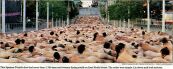 spencer tunick cleveland