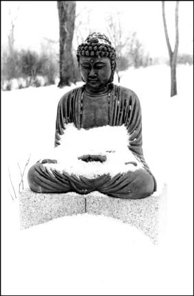 snow buddha